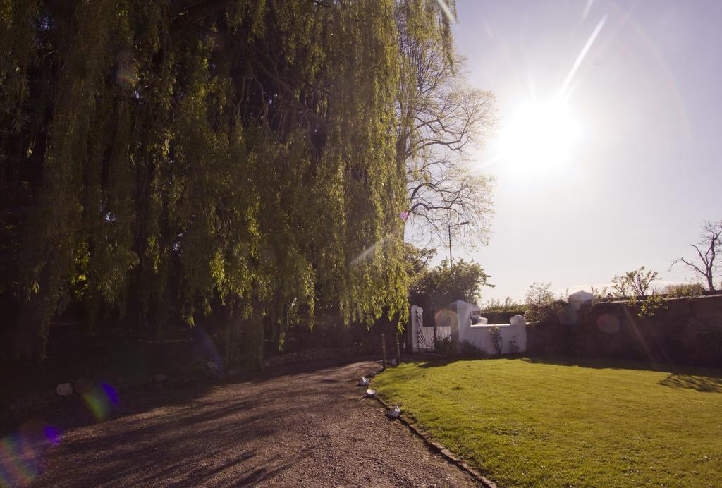 Culm Vale Country House Bed and Breakfast Stoke Canon Exteriör bild