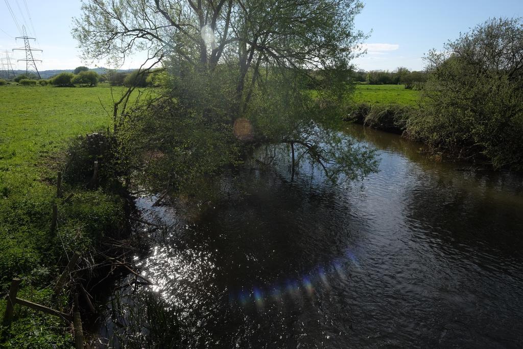 Culm Vale Country House Bed and Breakfast Stoke Canon Exteriör bild